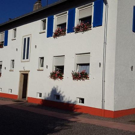 Appartement Wdwell à Munchweiler an der Rodalbe Extérieur photo